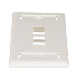 NETKEY Cara de montaje empotrado, de 2 puertos, una unidad - NK2FIWY