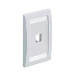 PANDUIT Mini-Com® Placa Frontal Vertical, 2 Salidas - CFPE2WHY